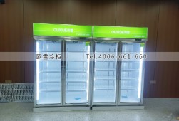 飲料柜-杭州哪里有賣雙開門冷藏展示柜？